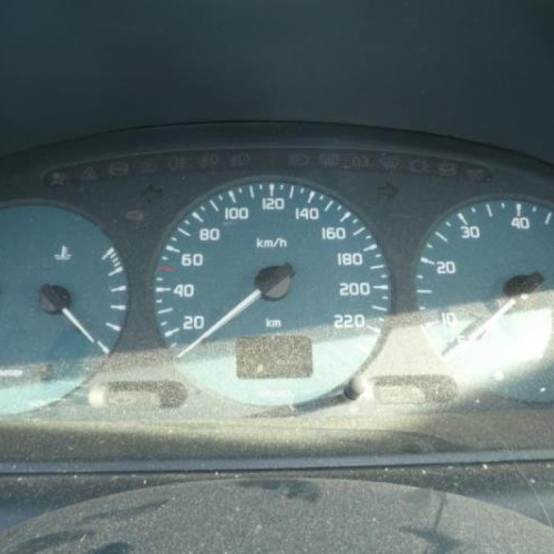 Porte arriere gauche RENAULT SCENIC 1 Photo n°13