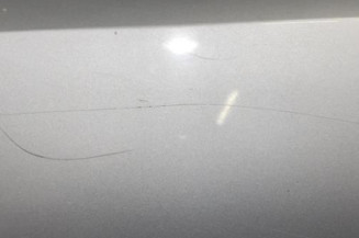 Porte arriere gauche OPEL MERIVA A