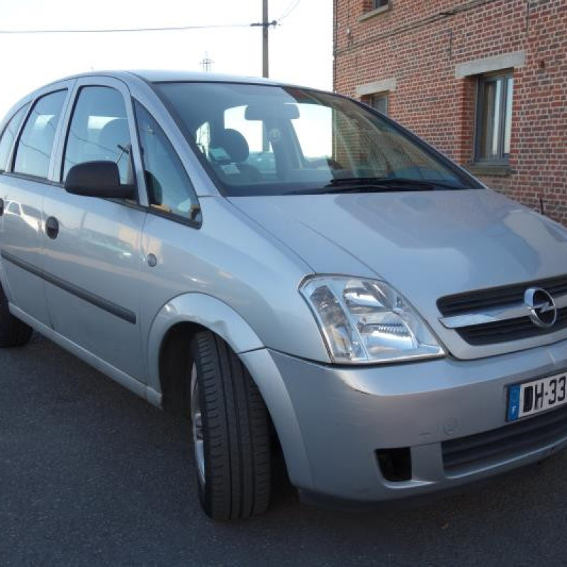 Porte arriere gauche OPEL MERIVA A Photo n°6