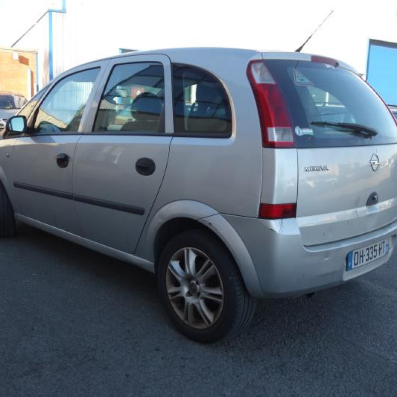 Porte arriere gauche OPEL MERIVA A Photo n°8