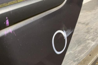Porte arriere gauche RENAULT LAGUNA 3