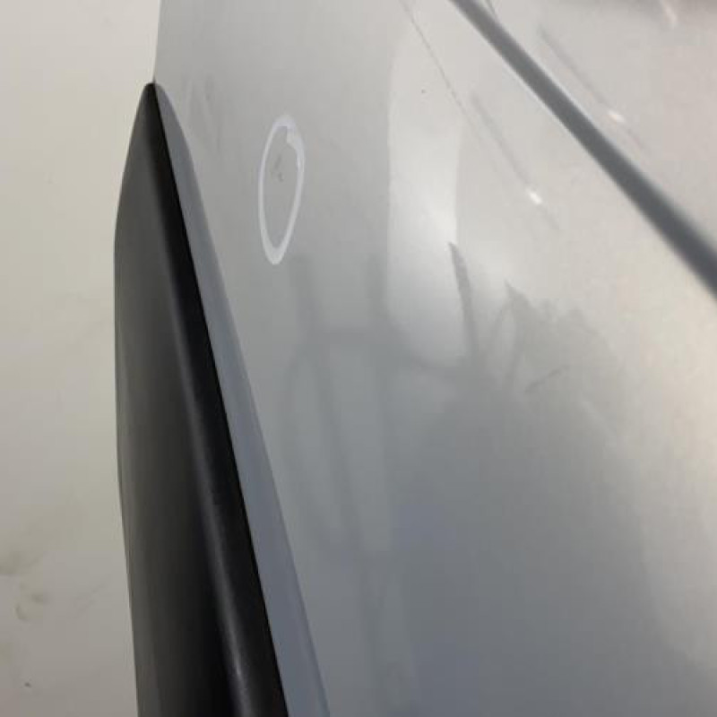 Porte arriere gauche RENAULT SCENIC 1 Photo n°2