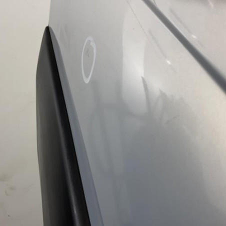 Porte arriere gauche RENAULT SCENIC 1