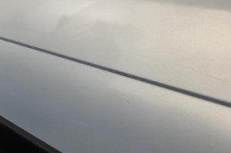 Porte avant gauche RENAULT SCENIC 1