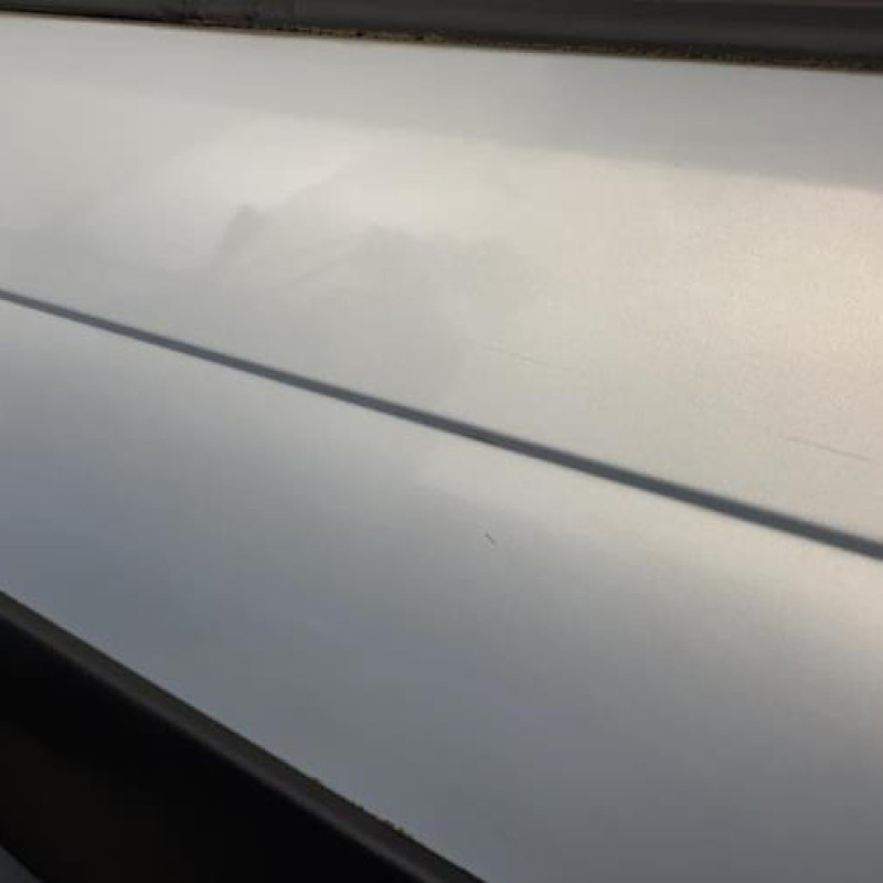 Porte avant gauche RENAULT SCENIC 1 Photo n°2