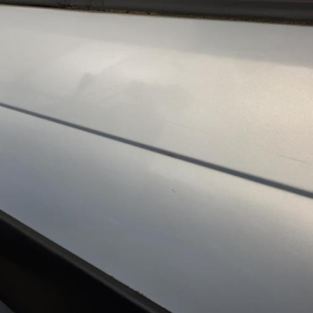 Porte avant gauche RENAULT SCENIC 1