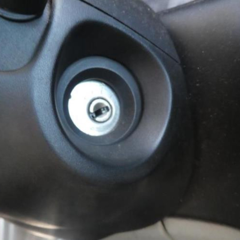 Porte avant gauche RENAULT SCENIC 1 Photo n°11