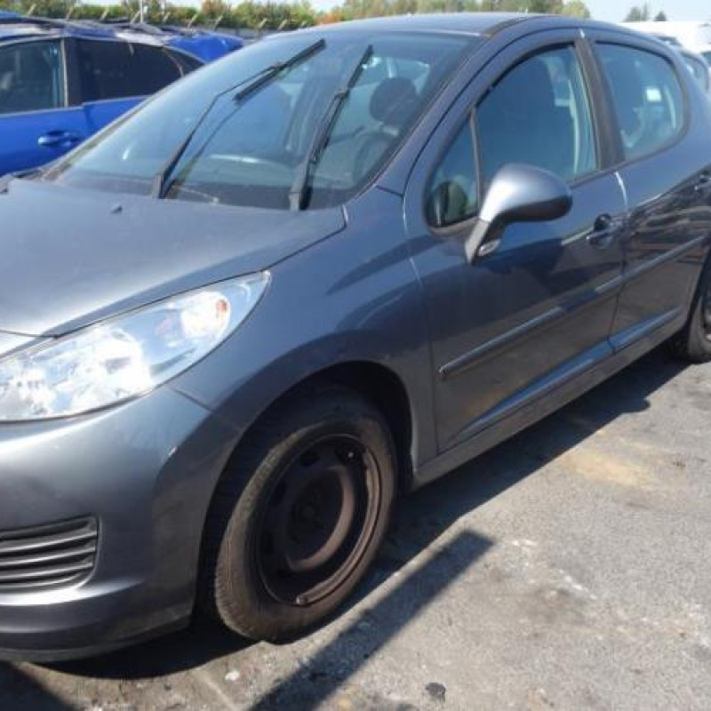 Air bag conducteur PEUGEOT 207 Photo n°1