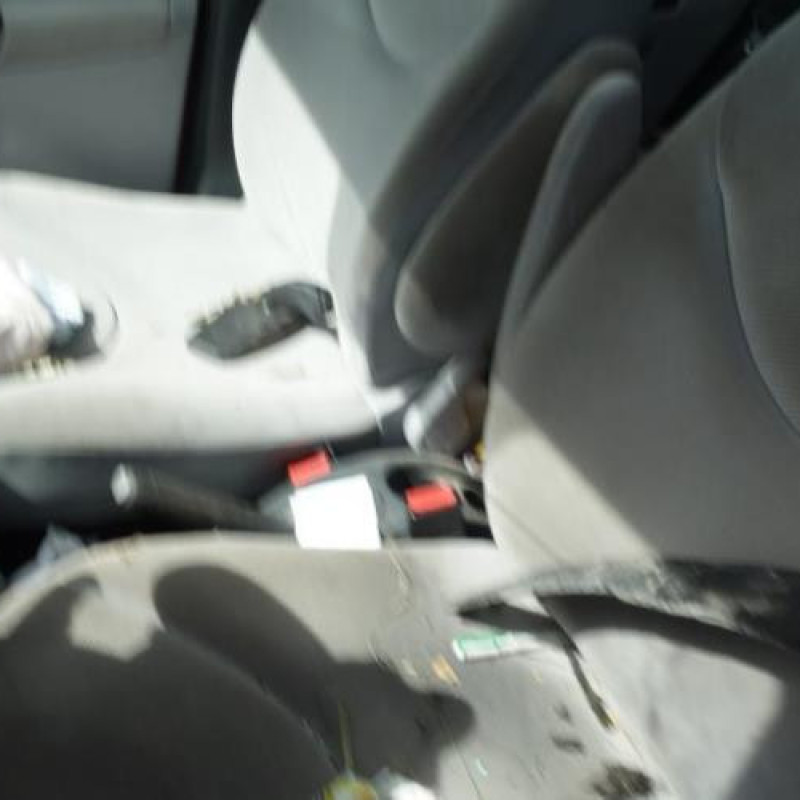 Serrure avant droit CITROEN C3 1 Photo n°9