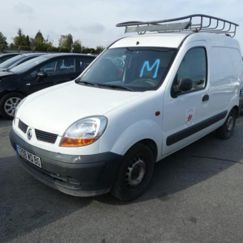 Porte de coffre droit RENAULT KANGOO 1 Photo n°3