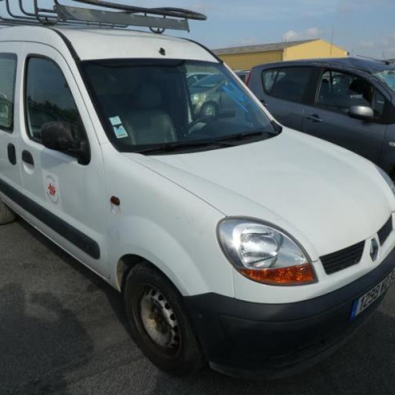 Porte de coffre droit RENAULT KANGOO 1 Photo n°4
