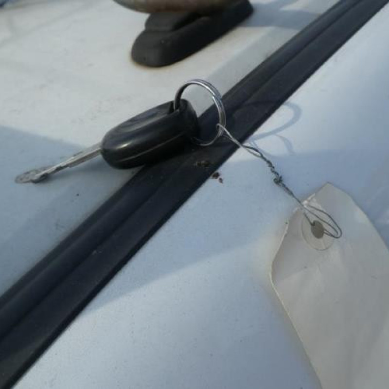 Porte de coffre droit RENAULT KANGOO 1 Photo n°14