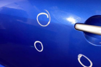 Porte avant gauche CITROEN C3 PLURIEL