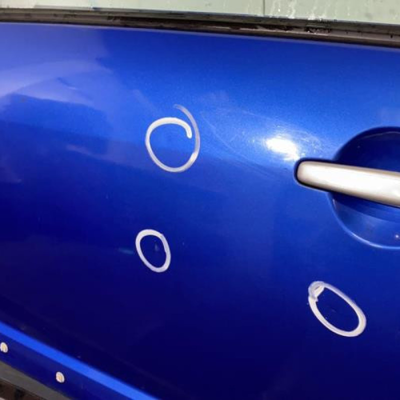 Porte avant gauche CITROEN C3 PLURIEL Photo n°2