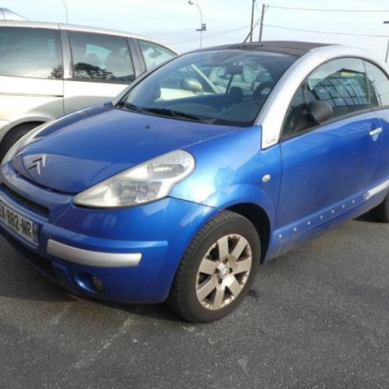 Porte avant gauche CITROEN C3 PLURIEL Photo n°4