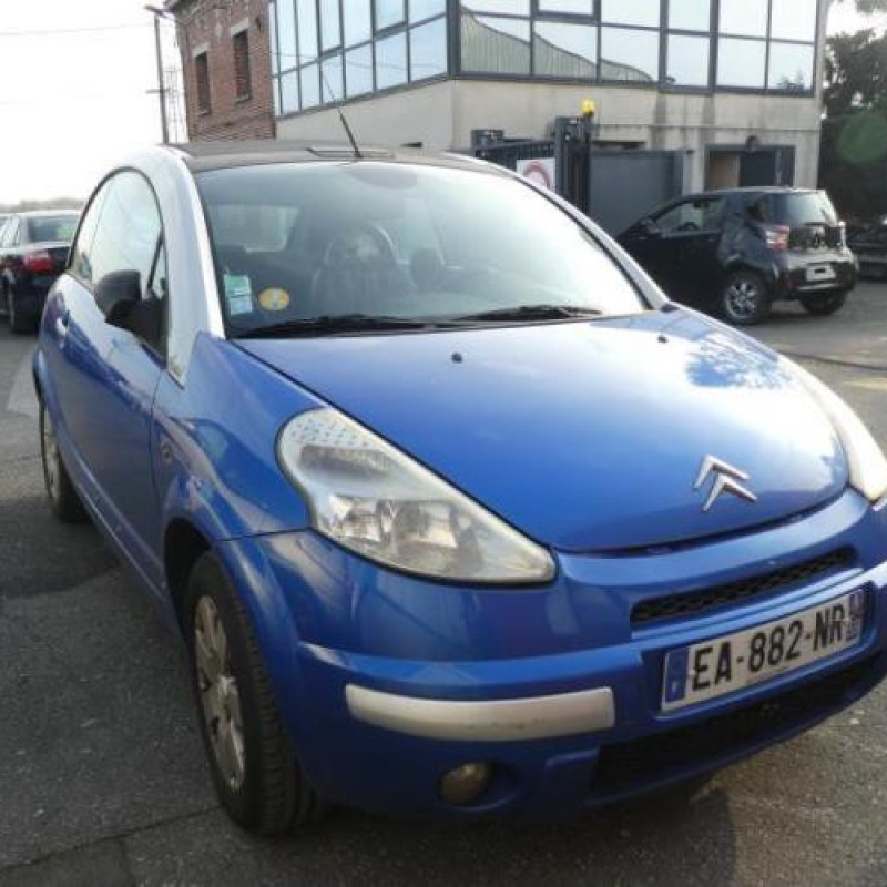 Porte avant gauche CITROEN C3 PLURIEL Photo n°5