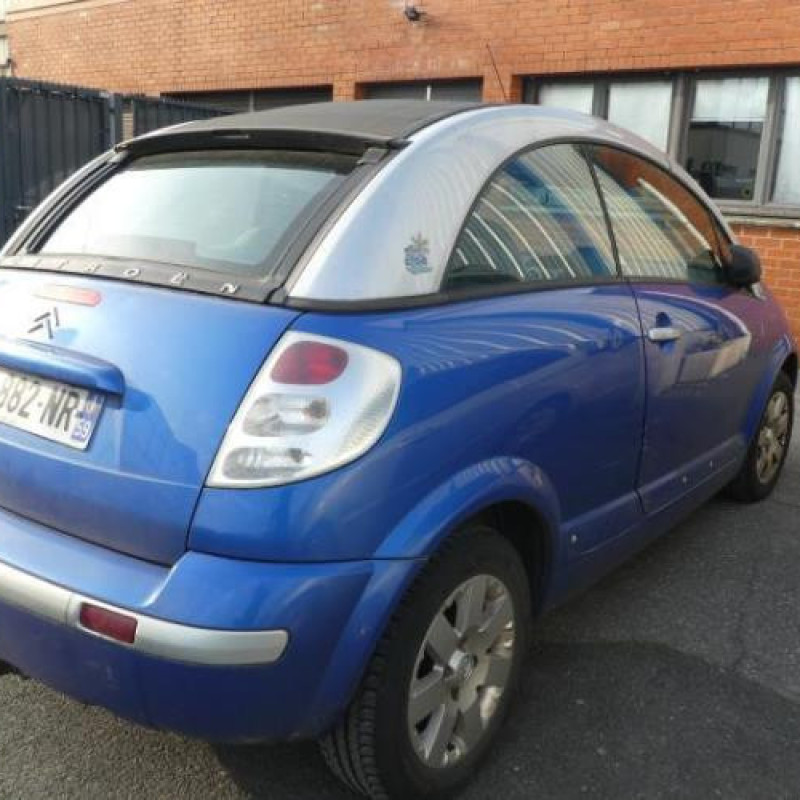 Porte avant gauche CITROEN C3 PLURIEL Photo n°6