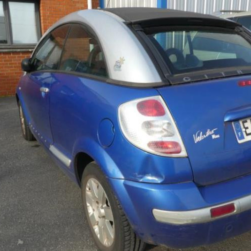 Porte avant gauche CITROEN C3 PLURIEL Photo n°7