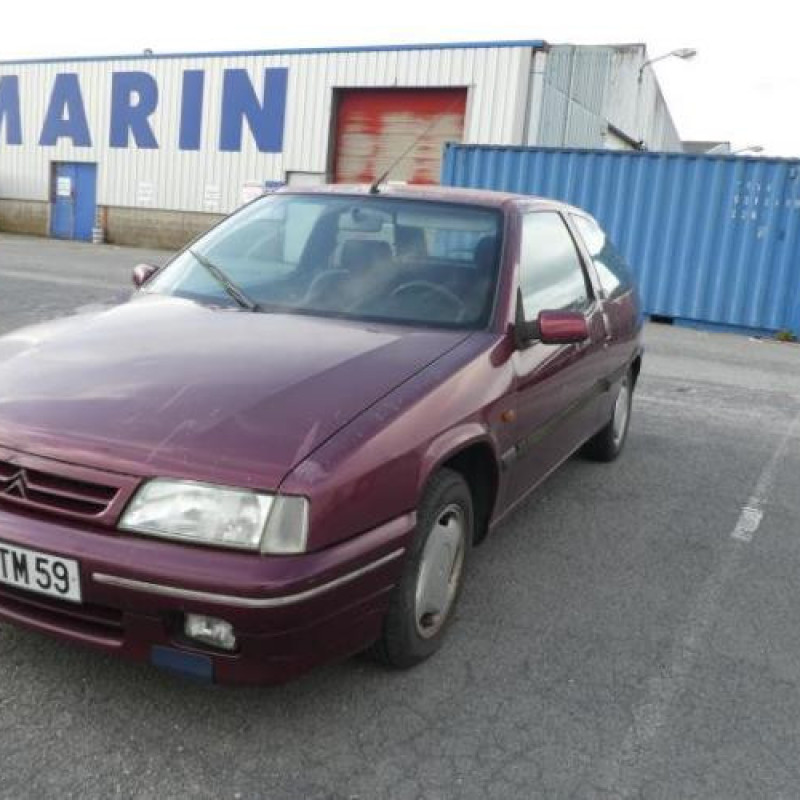 Porte avant gauche CITROEN ZX Photo n°5