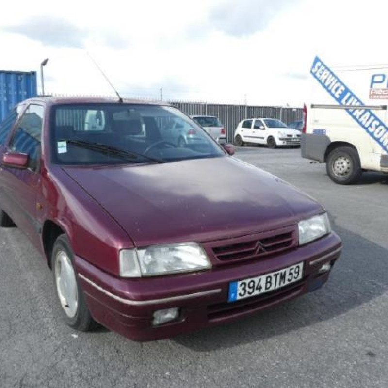 Porte avant gauche CITROEN ZX Photo n°6