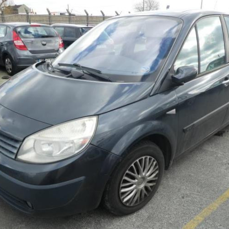 Air bag conducteur RENAULT SCENIC 2 Photo n°1