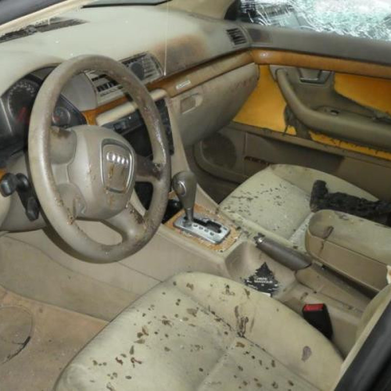 Porte arriere droit AUDI A4 2 Photo n°9