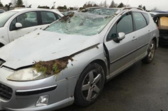 Porte arriere gauche PEUGEOT 407