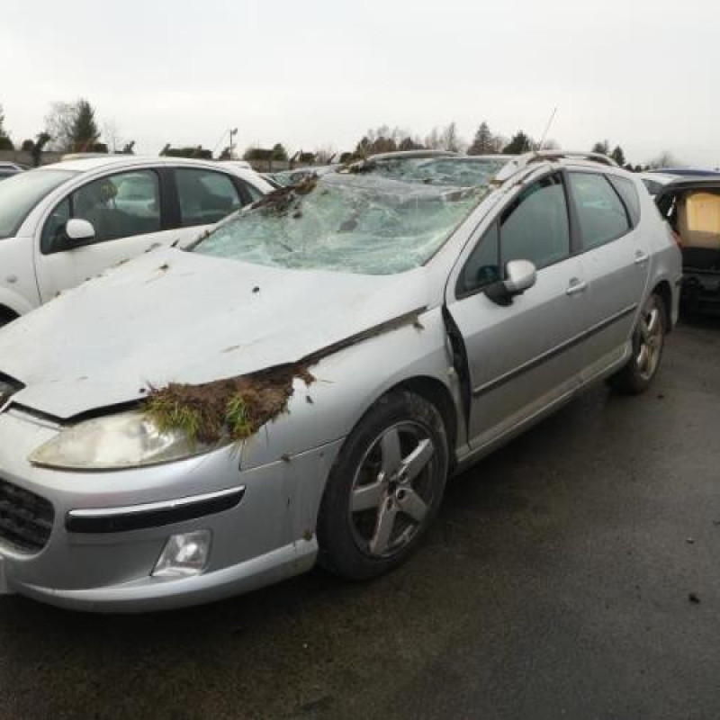 Porte arriere gauche PEUGEOT 407 Photo n°4