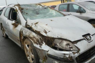 Porte arriere gauche PEUGEOT 407