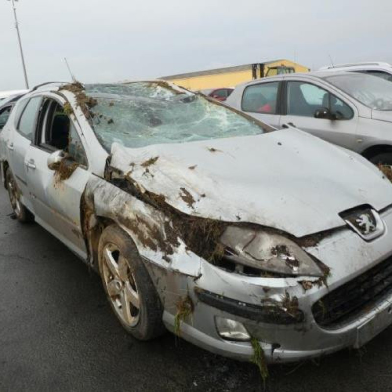 Porte arriere gauche PEUGEOT 407 Photo n°5