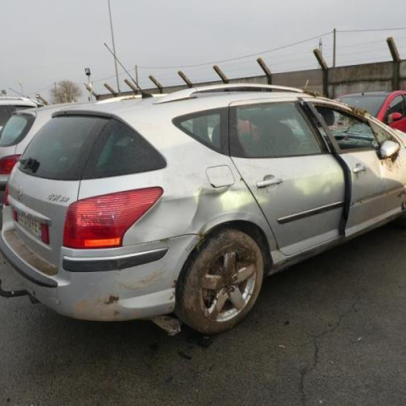 Porte arriere gauche PEUGEOT 407 Photo n°6