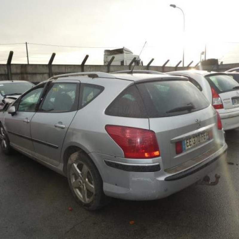 Porte arriere gauche PEUGEOT 407 Photo n°7