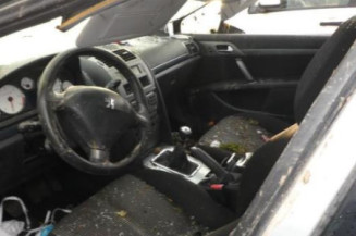 Porte arriere gauche PEUGEOT 407