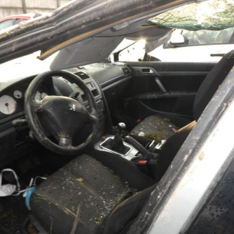 Porte arriere gauche PEUGEOT 407 Photo n°8