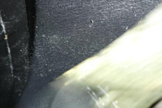 Porte arriere gauche PEUGEOT 407