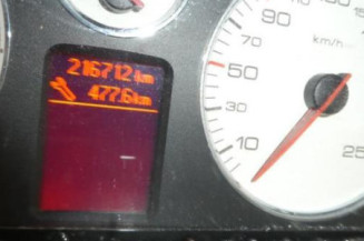 Porte arriere gauche PEUGEOT 407
