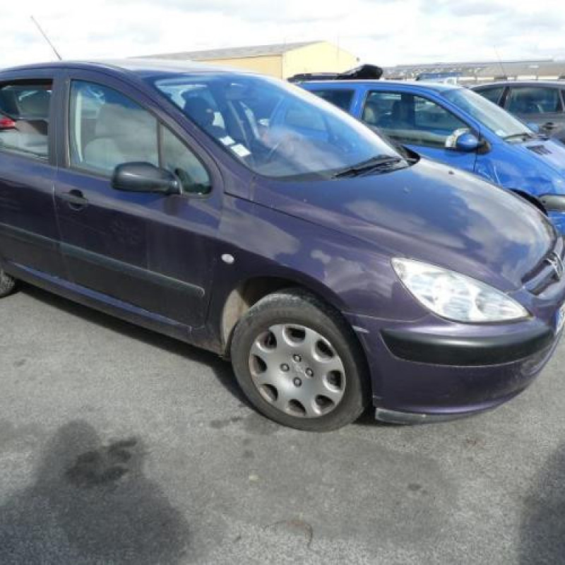 Pare soleil droit PEUGEOT 307 Photo n°4