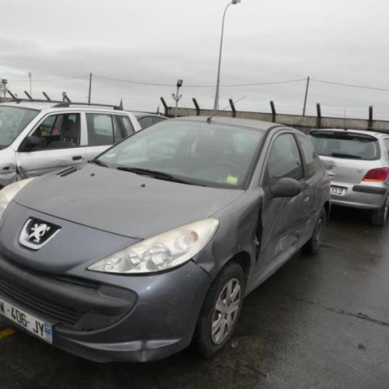 Capot PEUGEOT 206+ Photo n°3