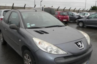 Capot PEUGEOT 206+