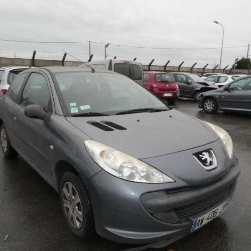 Capot PEUGEOT 206+ Photo n°4