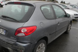 Capot PEUGEOT 206+