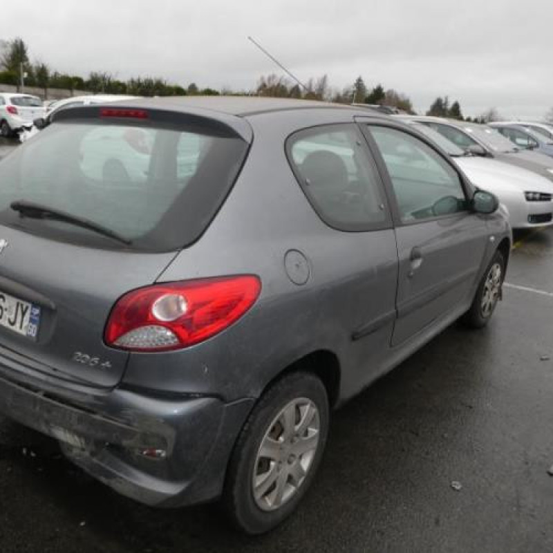 Capot PEUGEOT 206+ Photo n°5