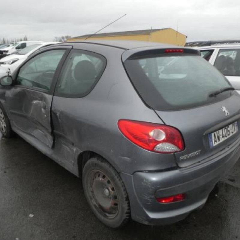 Capot PEUGEOT 206+ Photo n°6