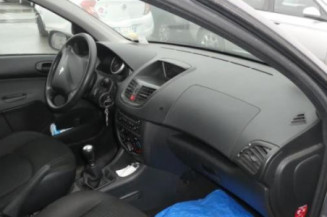 Capot PEUGEOT 206+