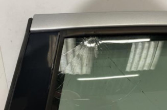 Porte arriere gauche PEUGEOT 407