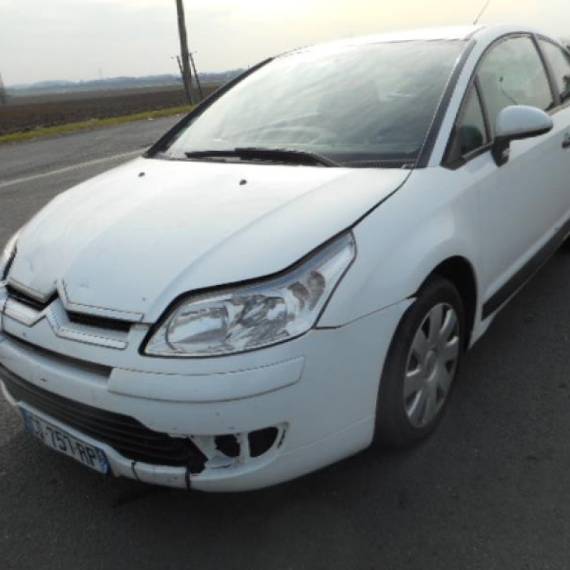 Porte avant droit CITROEN C4 1 Photo n°4