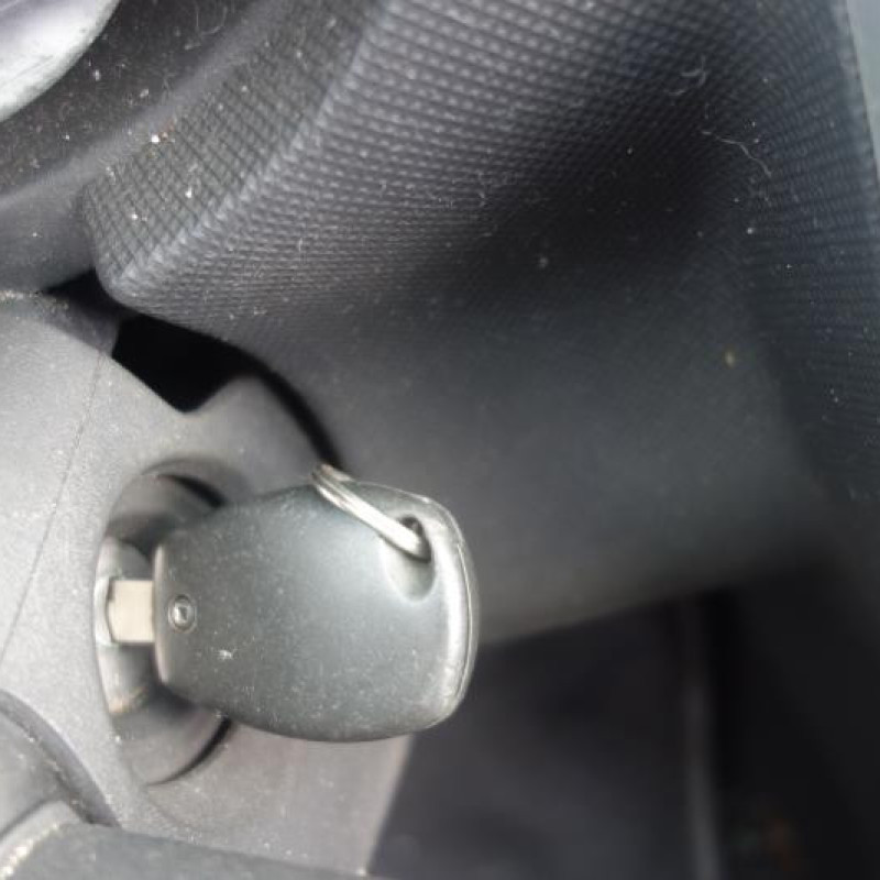 Leve vitre electrique avant gauche DACIA SANDERO 1 Photo n°10