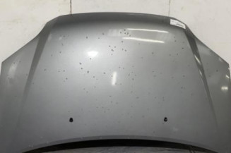 Capot SUZUKI IGNIS 2 Photo n°1
