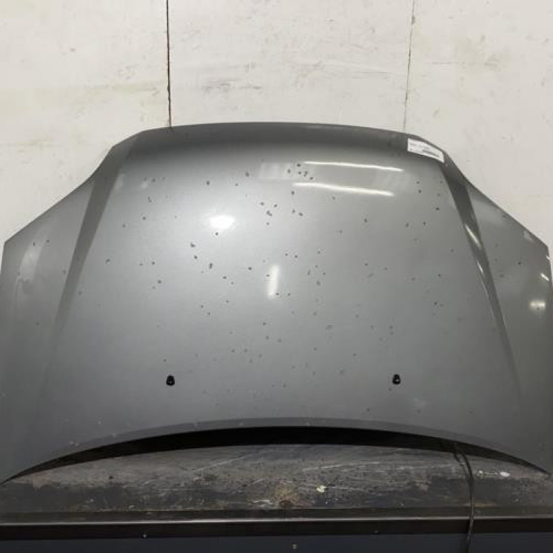 Capot SUZUKI IGNIS 2 Photo n°1