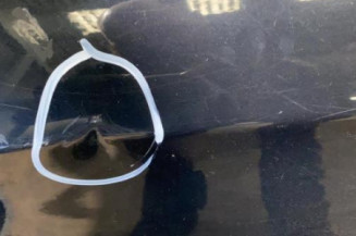 Porte arriere gauche ALFA ROMEO 159